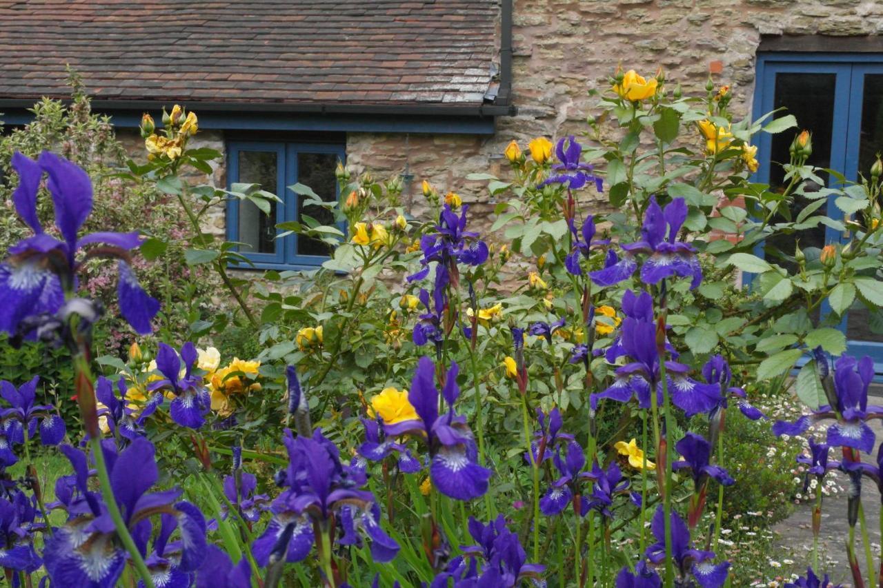 Bed and Breakfast Prospect Barn à Hereford Extérieur photo